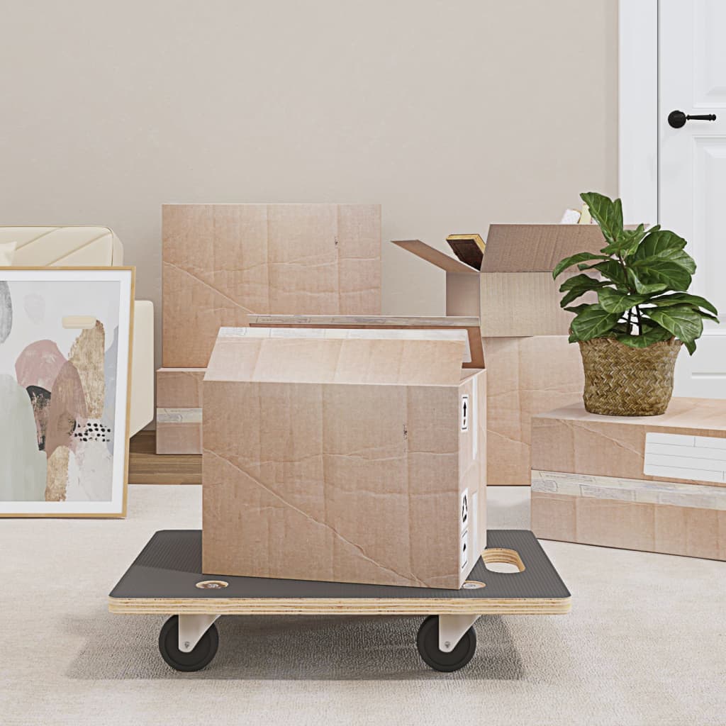 vidaXL Transportné vozíky 2 ks, obdĺžnikové 60x40x11,5 cm 250 kg-1
