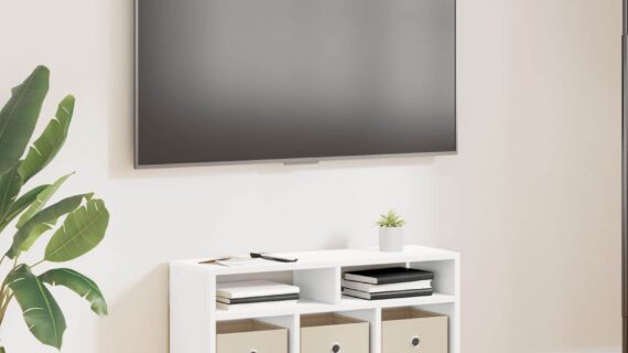 vidaXL Nízka skriňa so zásuvkou Biela 72 x 22,5 x 38 cm-1