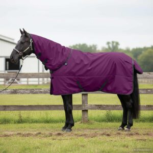 vidaXL Plášť pre kone Úplne fialová 75 cm Polyester-1