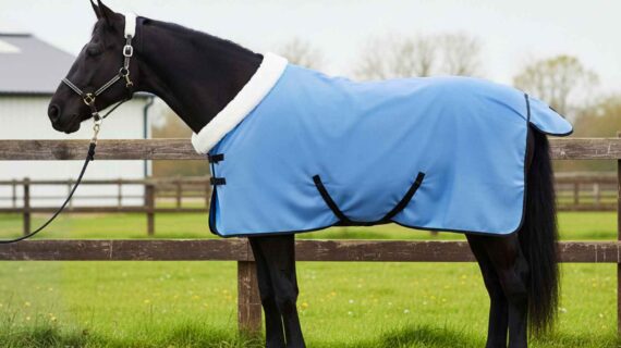 vidaXL Plášť pre kone Plný aqua 75 cm Polárna fleece-1